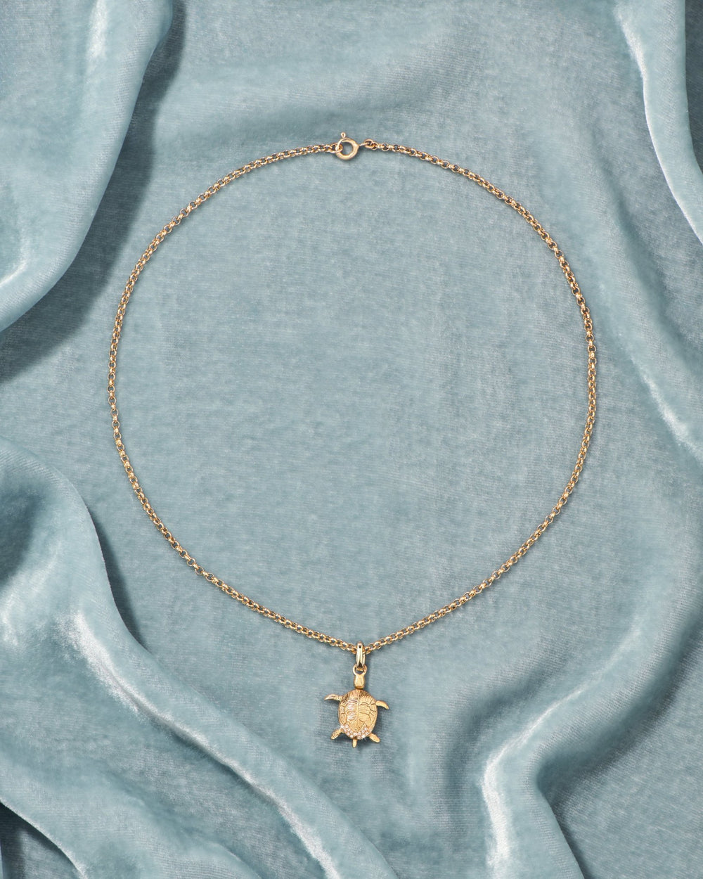 Raf, la Tortue en or 18 carats - TITYARAVY