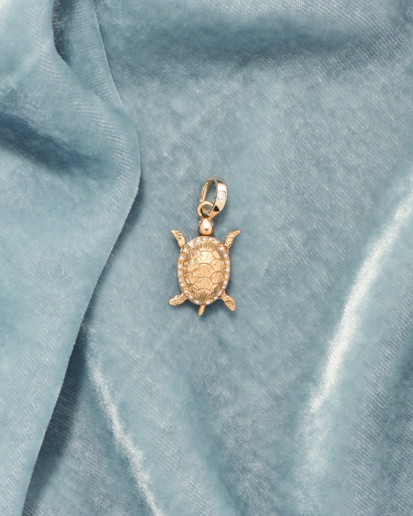 Raf, la Tortue en or 18 carats - TITYARAVY