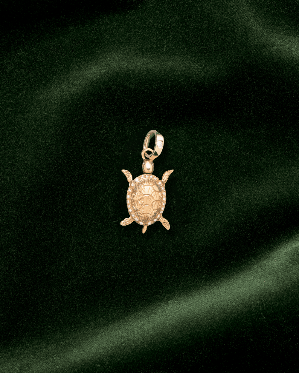 Raf, La Tortue en Or 18k - TITYARAVY