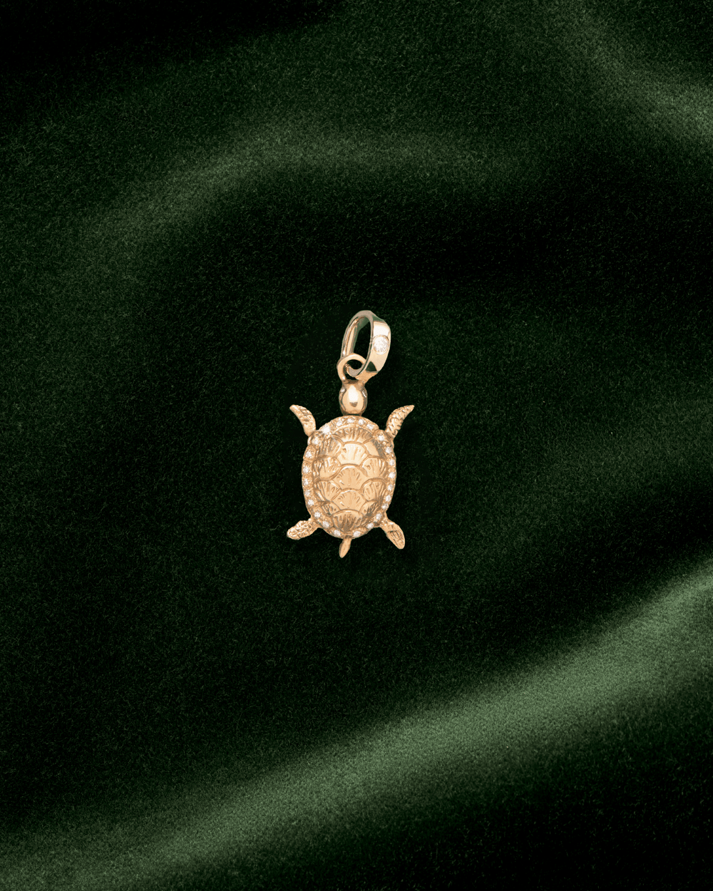Raf, La Tortue en Or 18k - TITYARAVY