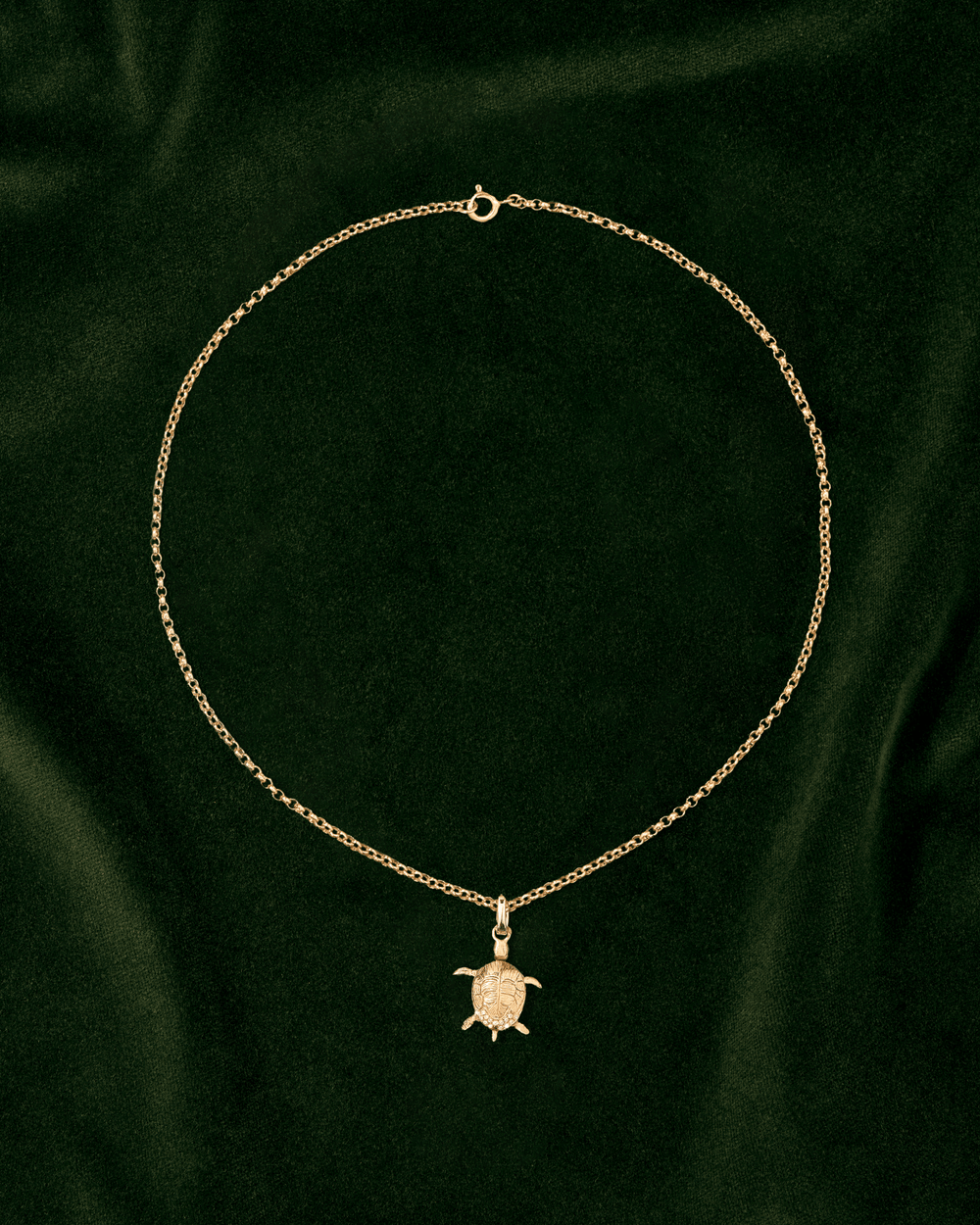 Raf, La Tortue en Or 18k - TITYARAVY