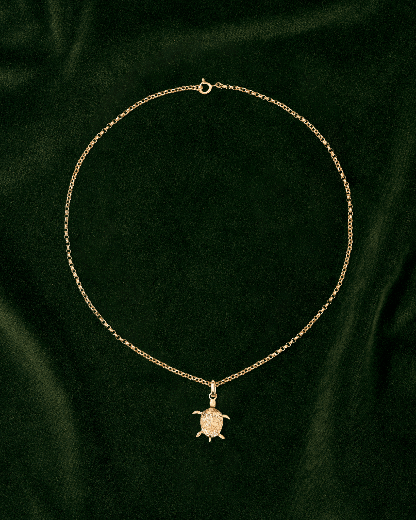 Raf, La Tortue en Or 18k - TITYARAVY